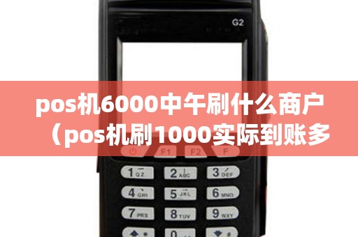 pos機6000中午刷什么商戶（pos機刷1000實際到賬多少）